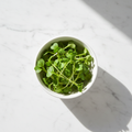 Fresh turnip shalgam microgreens – mild, chemical-free, farm-fresh delivery Delhi NCR | BageechaBox