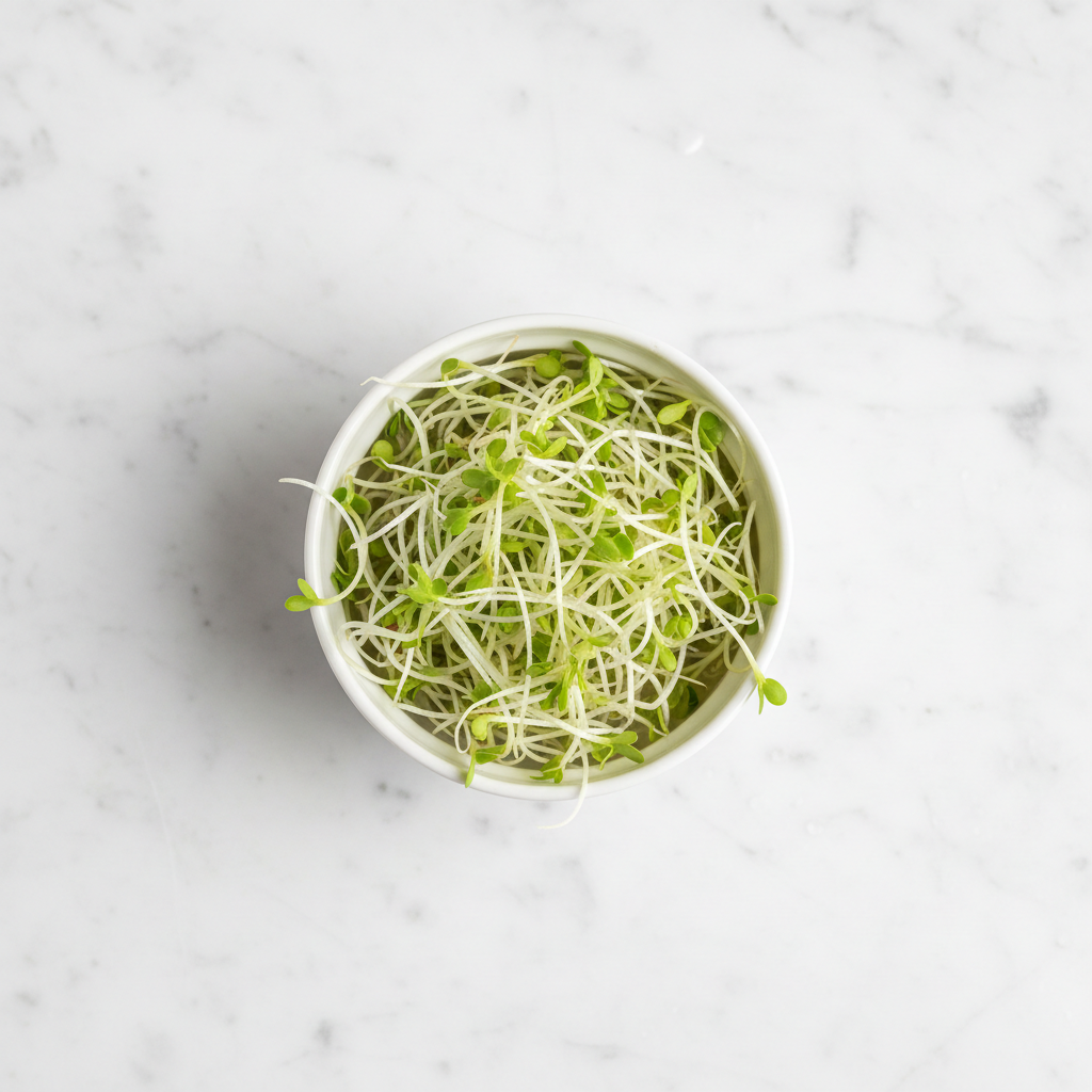 Fresh alfalfa microgreens with wispy pale green sprouts in a white ceramic bowl on marble