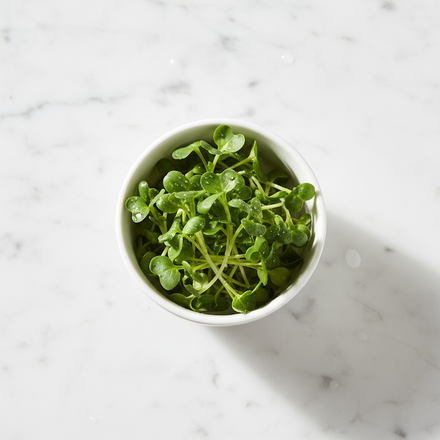 Fresh Broccoli Microgreens – Mild, Tender Brassica Greens | Home Delivery Delhi NCR | BageechaBox