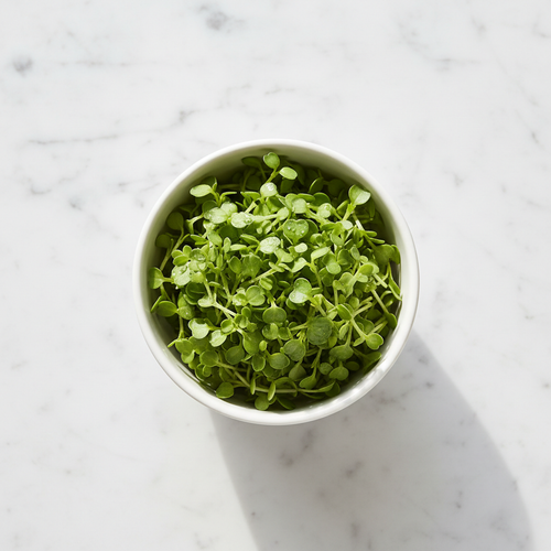 Fresh basil microgreens with small bright green oval leaves in a white ceramic bowl on marble