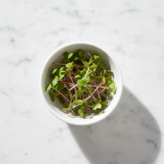 Fresh Radish (Mooli) Microgreens – Crisp, Peppery & Bold | Home Delivery Delhi NCR | BageechaBox