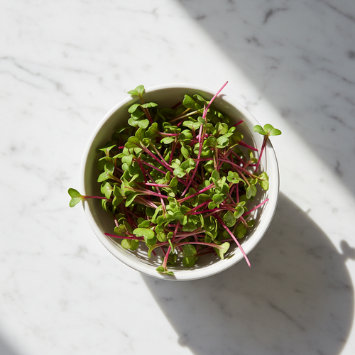 Fresh beetroot microgreens with deep pink-red stems in a white ceramic bowl on marble