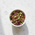 Fresh amaranth microgreens with vibrant magenta and green leaves – chemical-free, home delivery Delhi NCR | BageechaBox