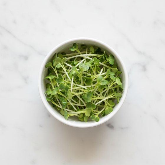 Fresh Cabbage Microgreens – Mild, Crunchy & Fresh | Home Delivery Delhi NCR | BageechaBox