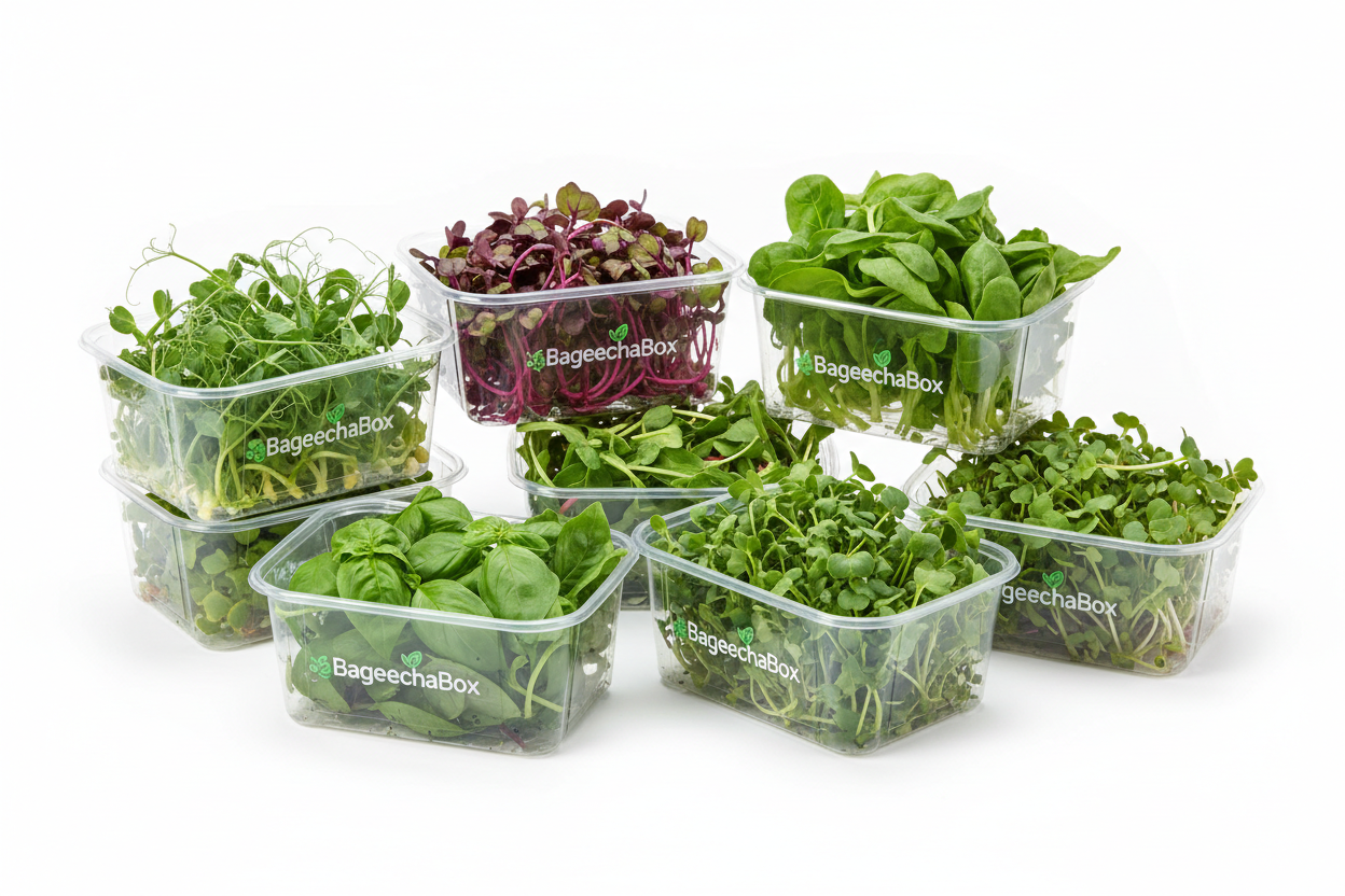 now give one with multiple plastic boxes with Bageechabox logo and White background